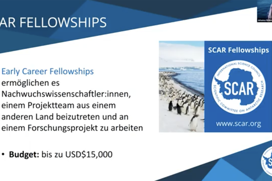 Screenshot Fellowship Webinar_Dec